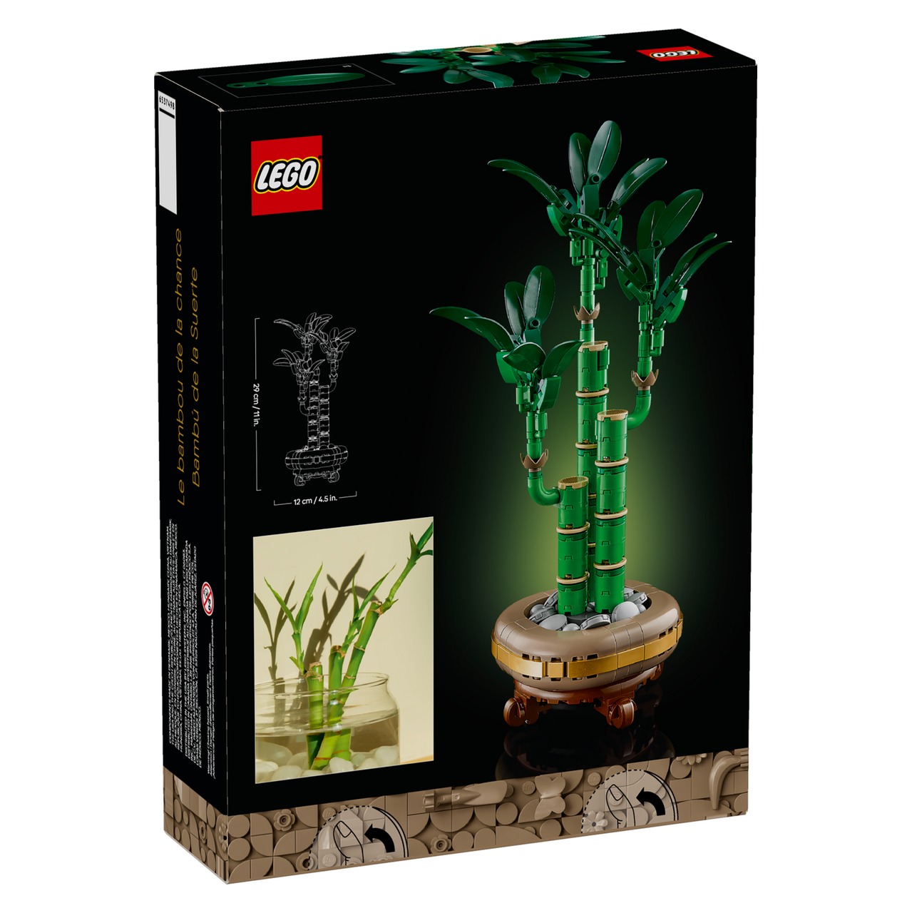 Lucky Bamboo