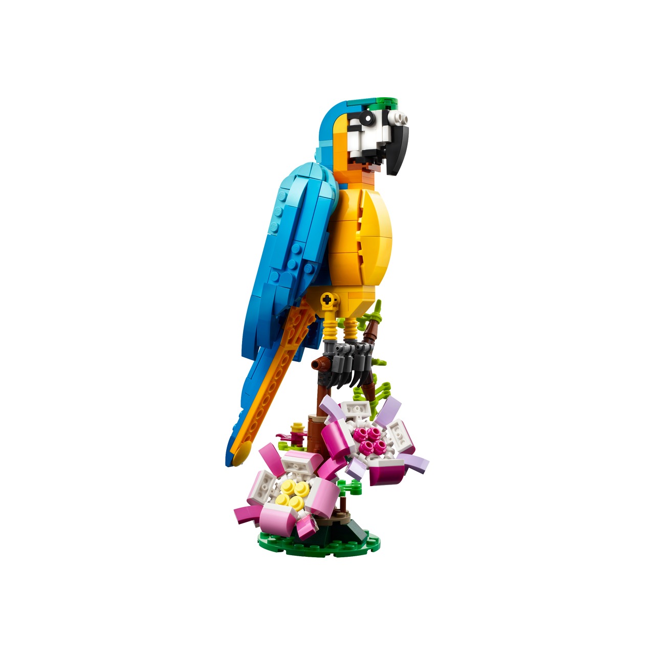 Exotic Parrot
