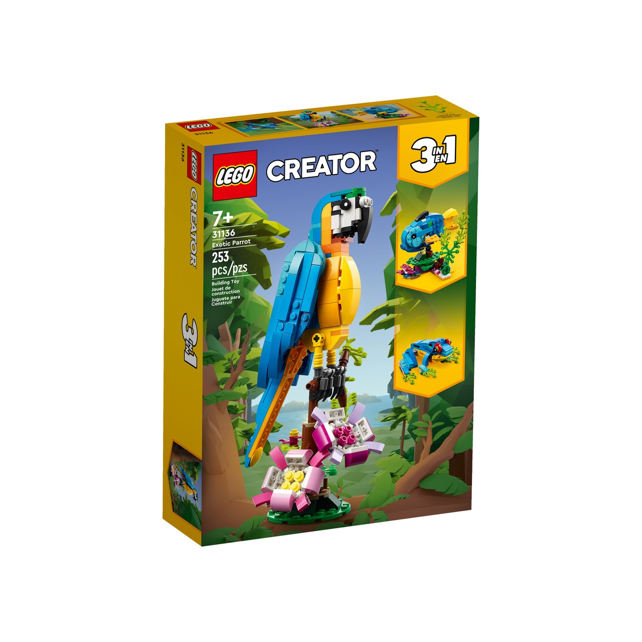 Exotic Parrot