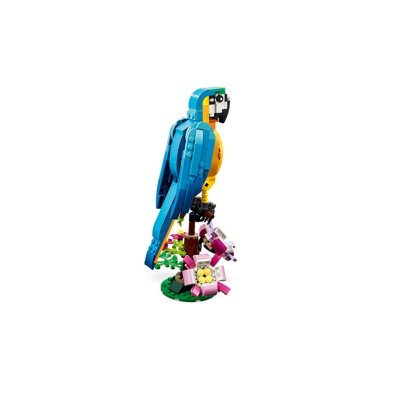 Exotic Parrot