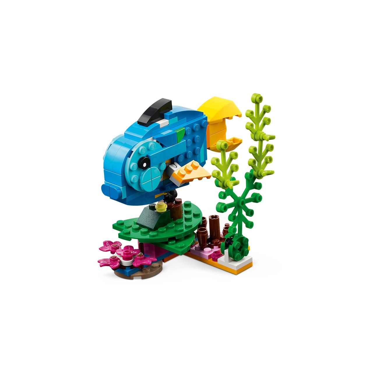 Exotic Parrot
